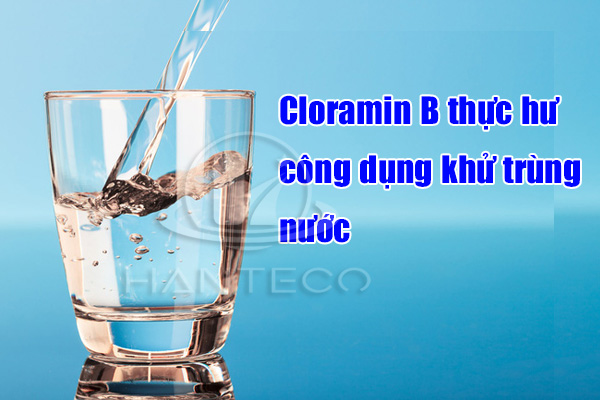 Cloramin B là gì? Cách pha Cloramin B để khử trùng nước HIỆU QUẢ - AN TOÀN